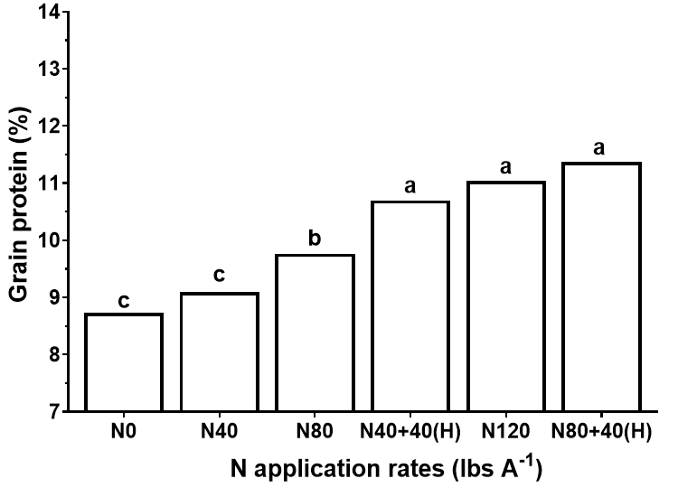 grain protein response to added nitrogen