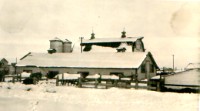 Cattle pens and barns in winter