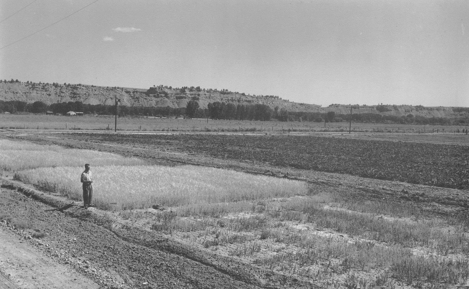 results of leached soil