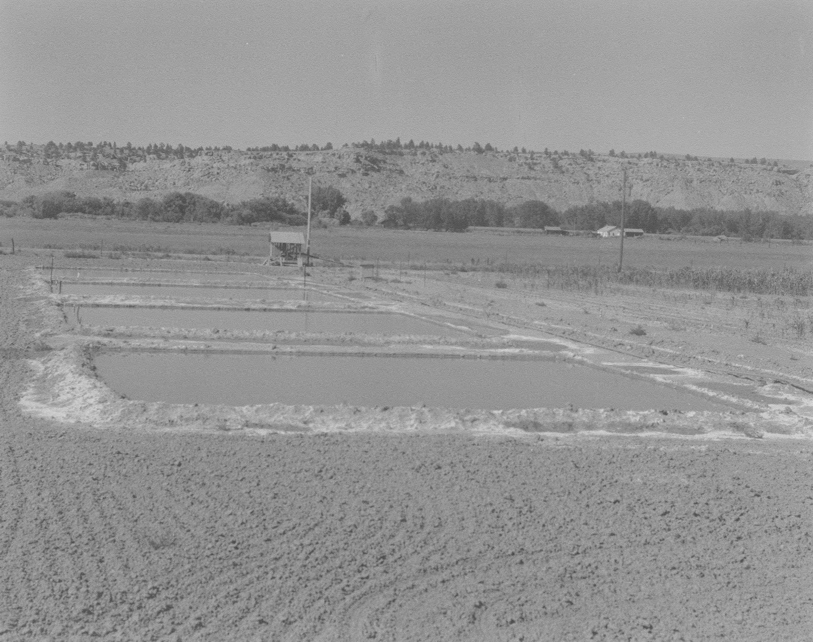 leaching areas for study